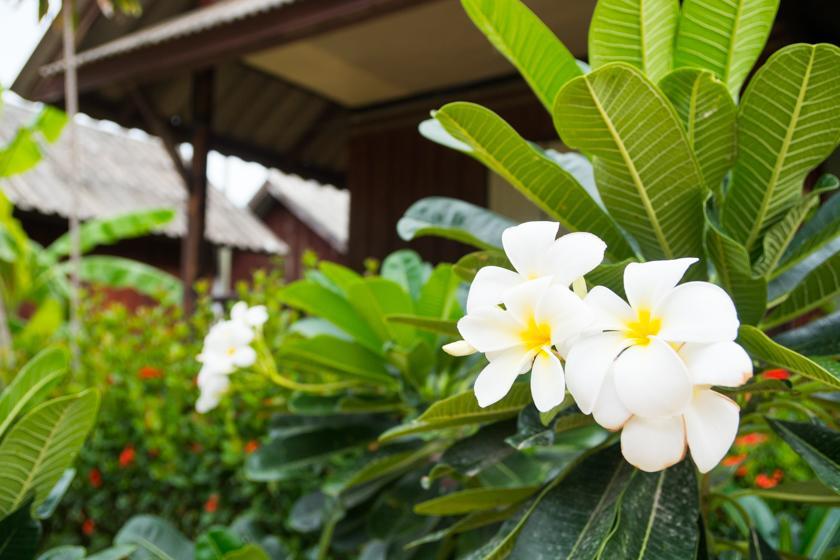 Weekender Bungalow Lamai Beach  Exteriör bild